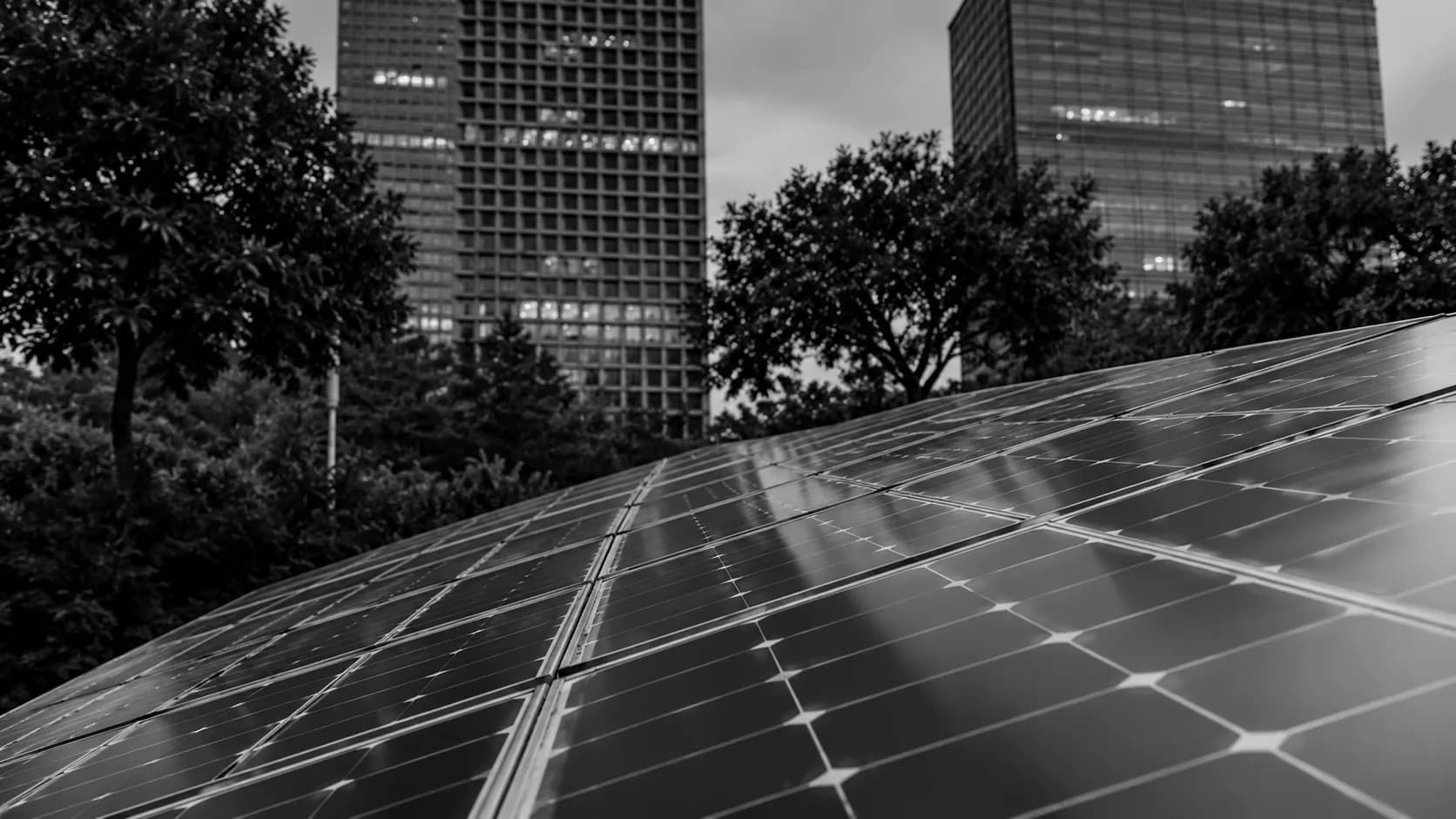 Expertise · Sustainability & Optimisation