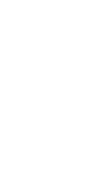 Storage Heater