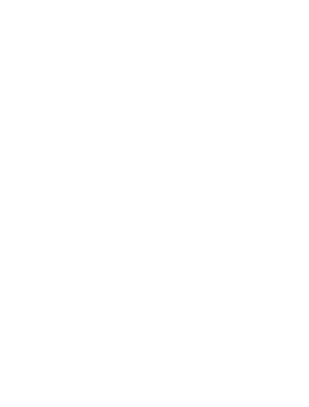 Boat Propelling Apparatus
